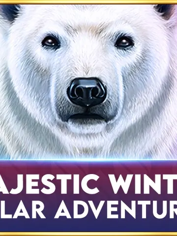 Majestic Winter - Polar Adventures